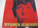 Dandy Warhols  Not If You Were The Last Dandy On Earth  vinyl