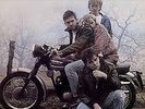 /48959307/ Prefab Sprout - Steve Mcqueen [1  x  LP Vinyle]