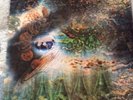 Vinyl Records Pink Floyd  saucerful of secrets
