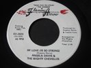 Angela Davis   My Love is So Strong   Flaming Arrow   northern soul funk 45 HEAR