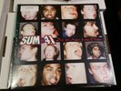 Sum 41 - ALL KILLER NO FILLER LP (pop punk colored vinyl)