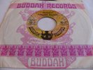 TIMOTHY WILSON - PIGTAILS / LOVING YOU - BUDDAH