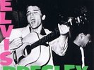 ELVIS PRESLEY - VINYL - BLUE MOON - FREE SHIPPING  NO TAX