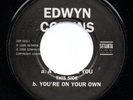 EDWYN COLLINS - WITH A GIRL LIKE YOU   - 45rpm vinyl single