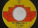 Crossover Soul/Funk 45 - F.J. Jones - My World - PS - mp3