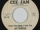 Northern/Deep Soul 45 - Art Wheeler - That's How Much I Love You - Cee-Jam - mp3
