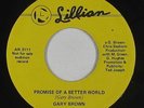 Sweet Soul 45 - Gary Brown - Promise Of A Better World - Lillian - VG++ mp3