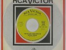 Northern Soul 45 - Beverly Ann - You've Got Your Mind - RCA Victor - VG++ mp3