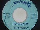 Funk/Sweet Soul 45 - First Family - Slow Down - Washington - mp3