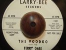 Garage Mod Fuzz 45 TERRY GALE The Voo Doo / Just 15 LARRY BEE Promo