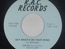 Modern Soul 45 - D. Watson - Say What's On Your Mind - R.A.C. - VG++ mp3