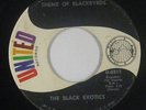Funk/Deep Soul 45 - Black Exotics - Theme Of Blackbyrds - United - mp3