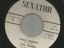 ROCKER bw/ TEEN DOOWOP- LIZ ANDERS (anderson) -SPACE MONKEY  -HEAR- 1960 SENATOR