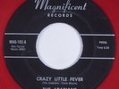 R&B Doo-Wop Popcorn 45 ARABIANS Crazy Little Fever MAGNIFICENT HEAR red wax