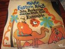 John Berberian Middle Eastern Rock Fuzz Guitar Verve Forecast NM