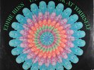 Eddie Russ - Take A Look At Yourself Vinyl LP 0714343