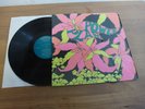 THE GOLDEN DAWN POWER PLANT LP RARE INTERNATIONAL ARTIST IN MINT CONDITION