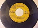 45 RARE BEACH BOYS PROMO ONLY SALT LAKE CITY/AMUSEMENT PARK USA brian wilson