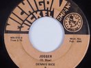 Rockabilly 45 DENNIS BICE & RHYTHM RIDERS Jogger MICHIGAN NICKEL COMPANY HEAR
