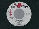 N. Soul Music RODDIE JOY Come back baby/Love Hit Me PROMO RED BIRD 45 Viny VG++