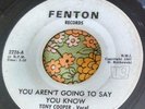 Rare Michigan Garage 45 Pedestrians You Aren't Going / Unpredictable FENTON HEAR