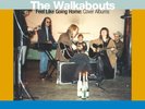 The Walkabouts - Feel Like Going Home - Cover Albums Vinyl + CD Box Set New