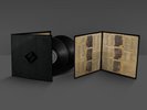 Foo Fighters Concrete and Gold Limited-Edition Vinyl [Double LP]