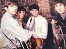The Beatles in Mono [Vinyl Box Set] by The Beatles (Vinyl, Sep-2014, 14...