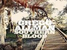 GREGG ALLMAN - SOUTHERN BLOOD   VINYL LP NEU
