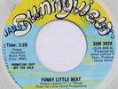 CONNIE Funky Little Beat SUNNYVIEW 45 electro soul boogie VG++ 7”