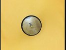 ELVIS PRESLEY My Happiness 78 RPM RSD 2015 LTD EDITION OF 500