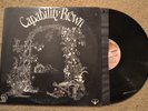 Capability Brown Scratching The Surface Rock Record LP VG++