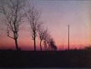 3 LP 33 Pink Floyd ? European Tour 88 Rhum Rec ?rhum 002 c Unofficial Release UK