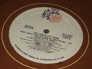 The Circle City Band ?– Party Lights (Shake Your Body Get Loose)  1985  EX CON