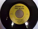 Tonto & The Renegades - Little Boy Blue - RARE MICHIGAN GARAGE - Fenton 1966