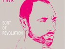 Fink - Sort Of Revolution Vinyl LP Ninja Tune NEU
