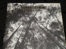 JOHNNY FLYNN : BEEN LISTENING DOUBLE  LP