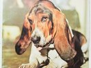 DUFFY Just In Case You're Interested... LP Vinyl 1971 Germany PROG HEAR K-1107