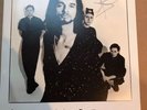 DEPECHE MODE - SIGNED / AUTOGRAPHED SOFAD 10
