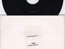 PAUL MCCARTNEY This one 7
