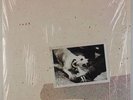 FLEETWOOD MAC: Tusk USA Orig SHRINK 2x LP Vinyl NM- Complete SUPERB