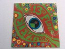 The 13th Floor Elevators - The Psychedelic Sounds-Stereo PSYCH/ACID/FUZZ EX