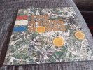 The Stone Roses Vinyl LP