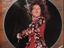 Led Zeppelin BBC Concert Picture Disk Ltd LP EX