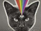 NEVER SHOUT NEVER Black Cat LIMITED CLEAR & BLUE SWIRL VINYL LP 2015