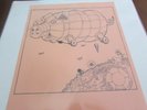 LED ZEPPELIN RARE PRIVATE PRESS LP THE HISTORIC BBC PRESENTATION OF LED ZEP