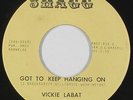Northern Soul 45 - Vickie Labat - Got To Keep Hanging On - Shagg - VG++ mp3