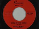 Sweet Soul/Funk 45 - Mickey Worley - Room In Your World - Rowena - mp3 unknown?