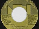 70s Soul 45 - Young Divines - Deep In Your Heart - New London - mp3