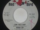 Northern Soul 45 - Roddie Joy - Come Back Baby - Red Bird - mp3